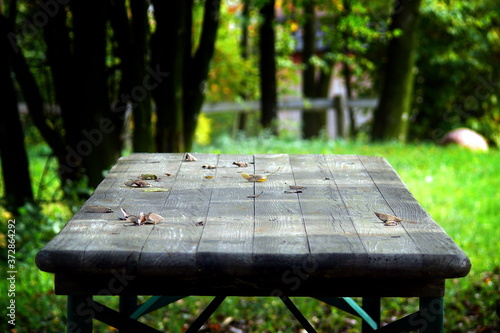 Stół w ogrodzie, jesienny krajobraz