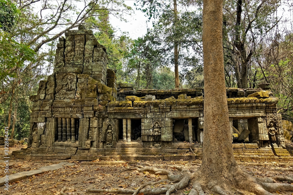 Ruins of the unique temple of Angkor. Moss, cracks on the dilapidated building. Bas-reliefs, ornaments, columns, windows are visible. Jungle grows all around. Fallen leaves on the ground. Cambodia.