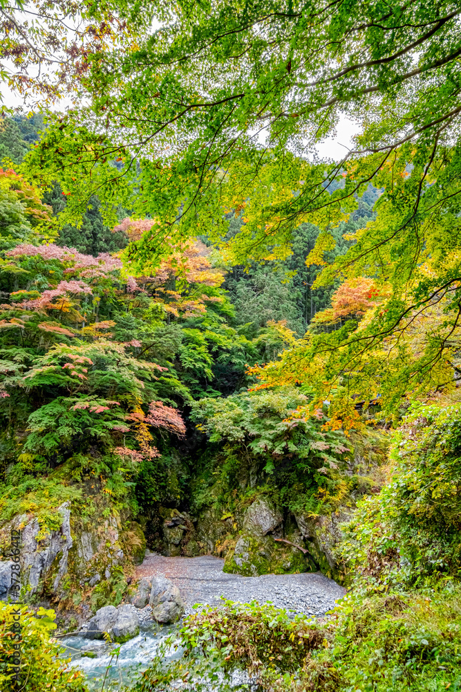 【東京都 奥多摩】鳩ノ巣渓谷の紅葉