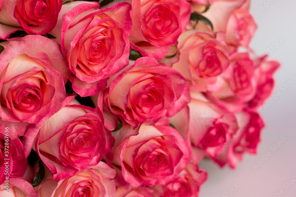 bouquet of pink roses bouquet of pink roses