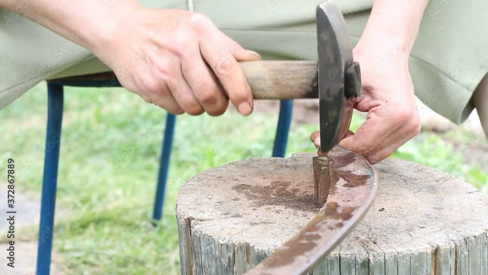 Man peening scythe blade with hammer. Sharpening the scythe manually, a rural scene
Man peening scythe blade with hammer. Sharpening the scythe manually, a rural scene