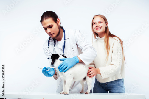 young veterinarian doctor in blue gloves examine little cute dog jack russell isolated on white background with owner blond girl holding it, animal healthcare