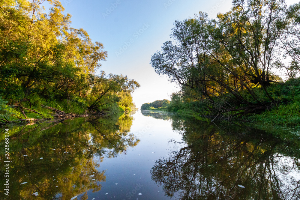 Siberian River Ob surrounded by Trees in Early morning in Russia in sunny weather during summer Siberian River Ob surrounded by Trees in Early morning in Russia in sunny weather during summer