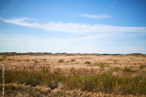 A big dry field on a sunny day