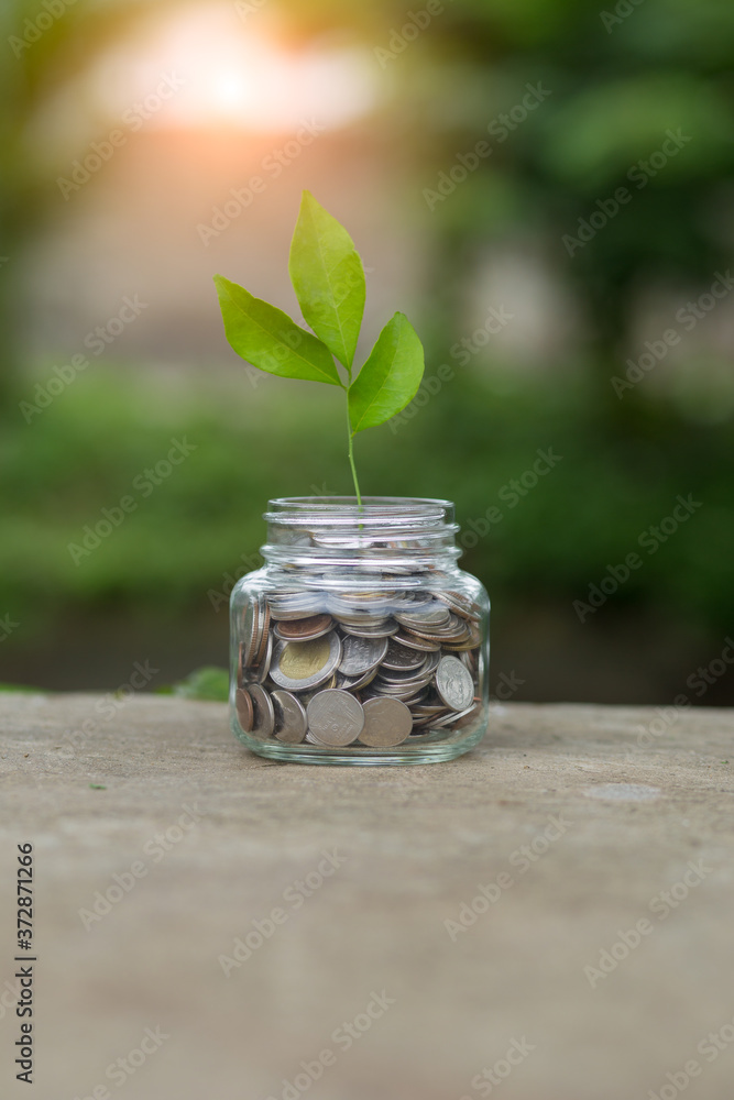 Saving money by hand puting coins in jug glass on nature background Saving money by hand puting coins in jug glass on nature background