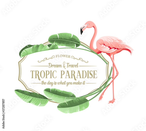 Summer tropical frame exotic banana leaf. Design background for card,invitation,poster.