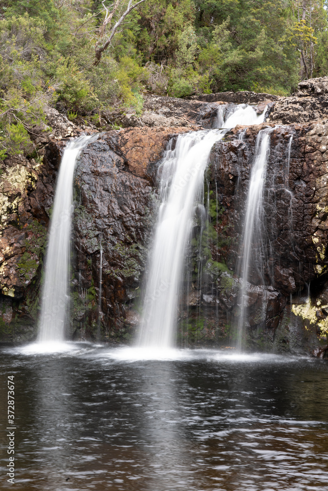 タスマニアのクレドルマウンテンのペンシルパイン滝 ( Pencil Pine Falls on Cradle Mountain in Tasmania )