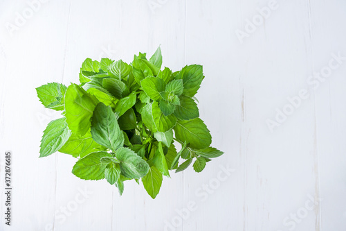 Bunch of fresh green basil and mint in glass jar on white background. Greens plant for healthy cooking. Organic and vegetarian food, zero waste concept. Copy space for text