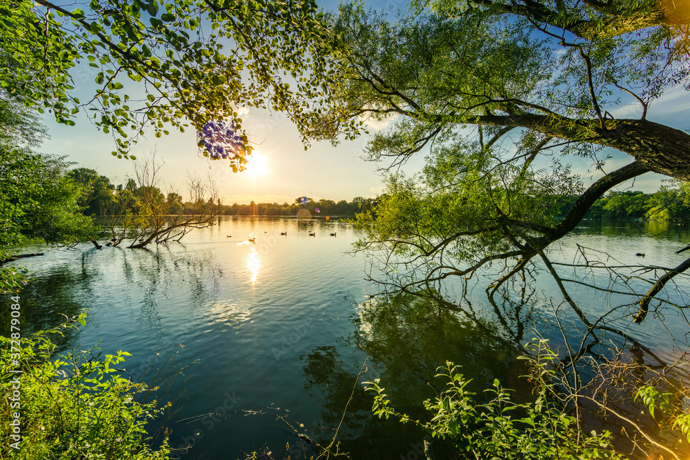 Fototapeta premium Blick auf den Kreuzteich in Braunschweig-Riddagshausen