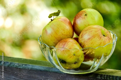 apples in a basket, digital photo picture as a background , taken in bled lake area, slovenia, europe photo