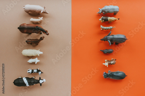 Photography animals living on the farm stand in front of wild animals on a red-brown background
