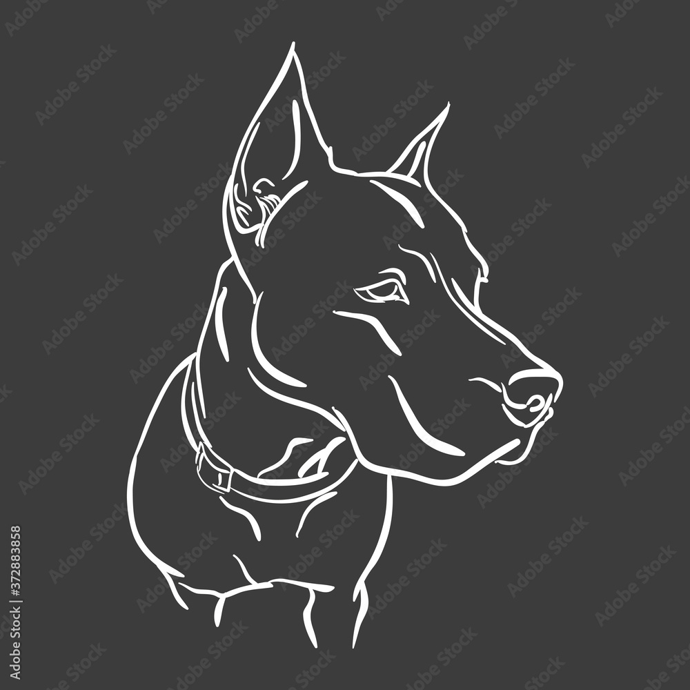 pitbull for logo, symbol, simple illustration, sport team emblem, mascot, design element and label, security idea,