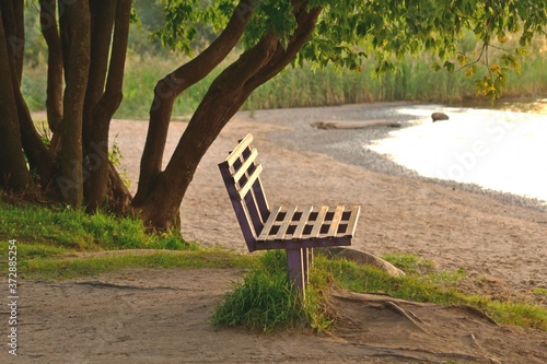 Wooden benches under trees in a park by the lake in the evening sun.