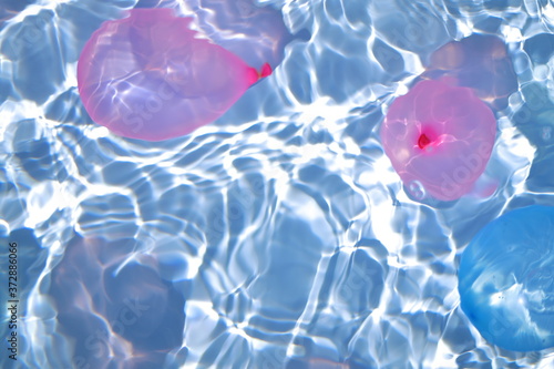 Wallpaper Mural 水中に浮遊する水風船 Torontodigital.ca