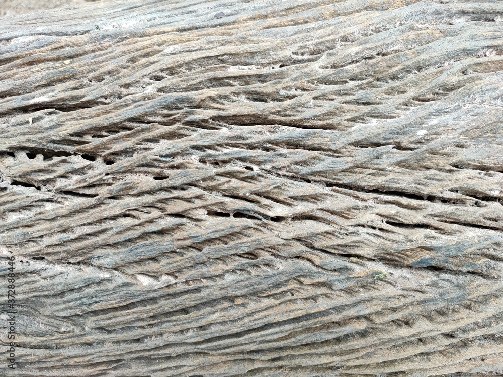 The wood has natural streaks. The wood has natural streaks.