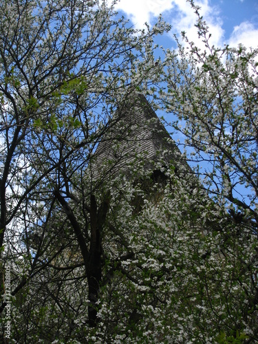 Kształt wieży zamka na tle kwitnącego drzewa, Kamieniec Podolski, Ukraina
