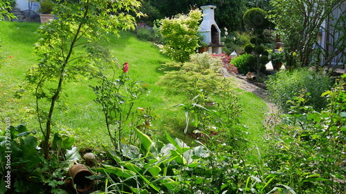 Gartengestaltung mit Teich, Zierahorn und Grillkamin