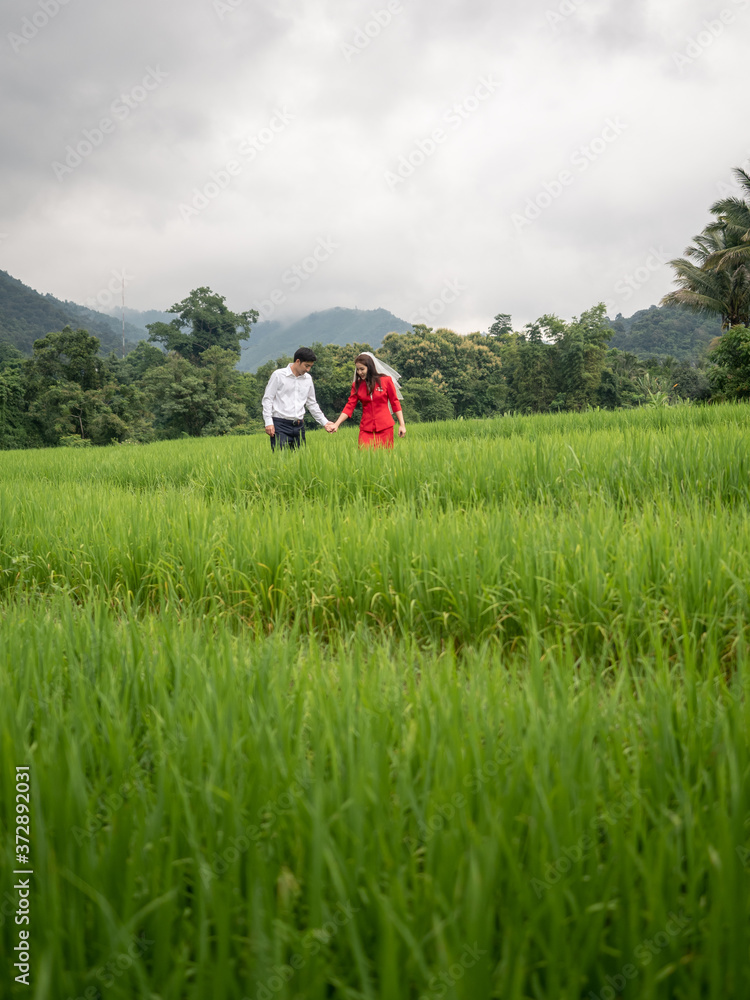 Aerial view of asian lover walking on rice field ridge. People taking pre wedding photography in rice terrace. Green rice farm in Nan, Thailand. Aerial view of asian lover walking on rice field ridge. People taking pre wedding photography in rice terrace. Green rice farm in Nan, Thailand.