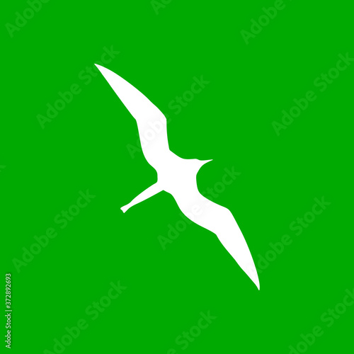 Fregattvogel und Hintergrund