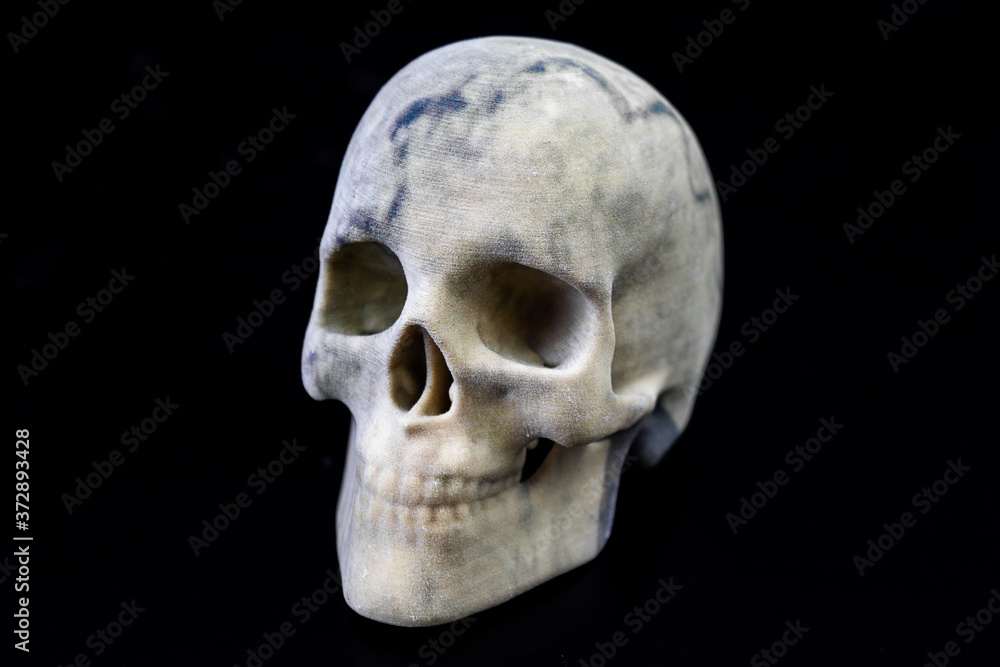 3D printed skull with gypsum as material and as front view picture 3D printed skull with gypsum as material and as front view picture