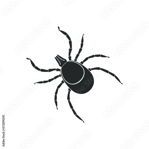 Mite graphic icon. Mite black sign close up isolated on white background. Vector illustration © archivector