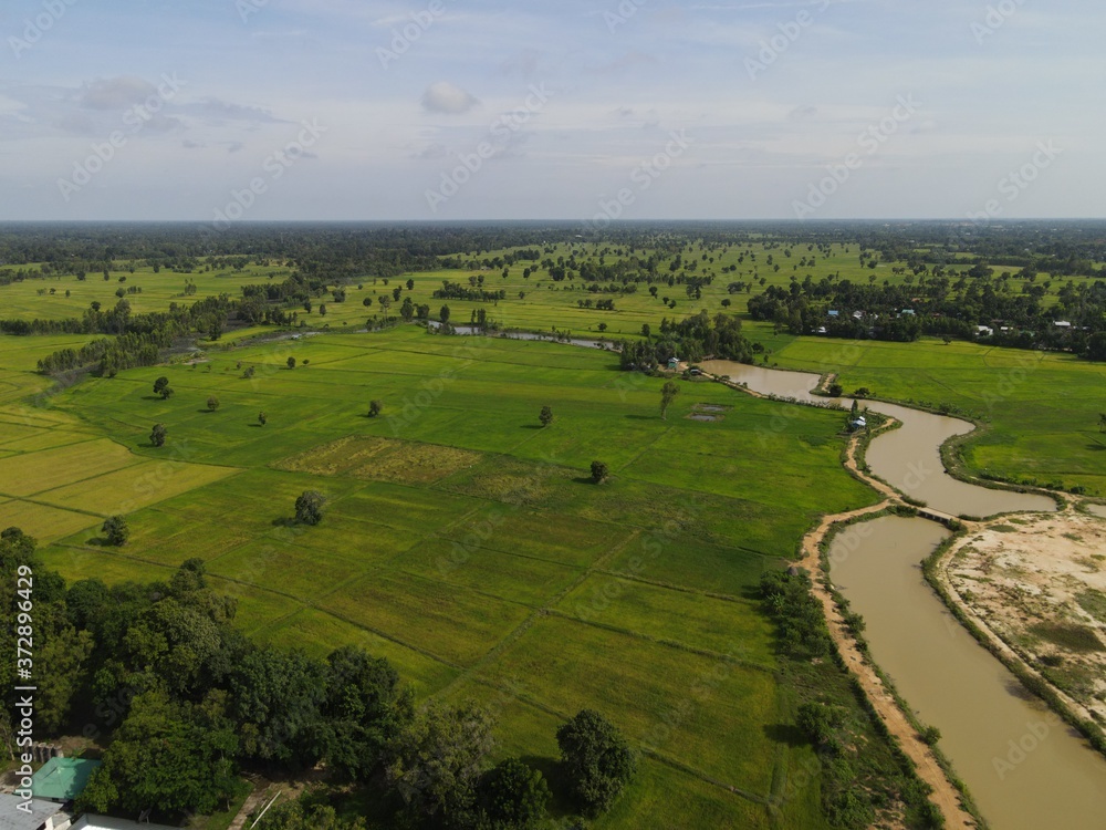 High angle shot river with rice field landscape. High angle shot river with rice field landscape.