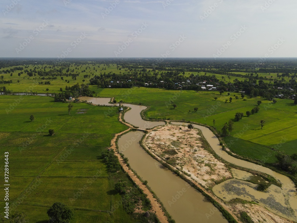 High angle shot river with rice field landscape.