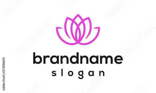 Modern flower logo design vector