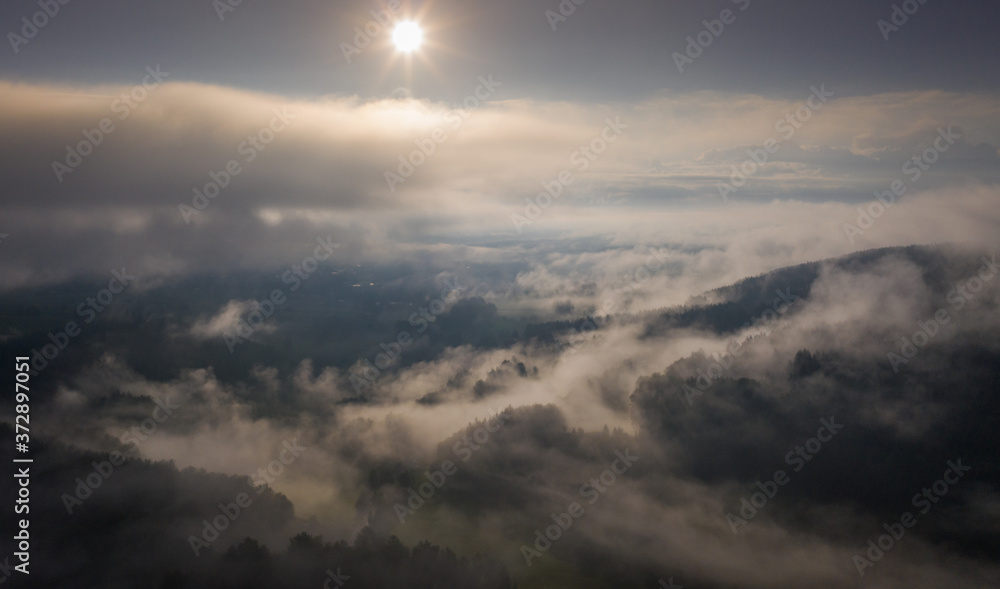 forest in the morning fog at sunrise aerial view