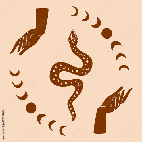 Mystical vector illustration of mudra hands, lunar moon phase and the serpent. Esoteric, spiritual, wicca occult inspired concept. Perfect for Tshirt graphic, cards etc.