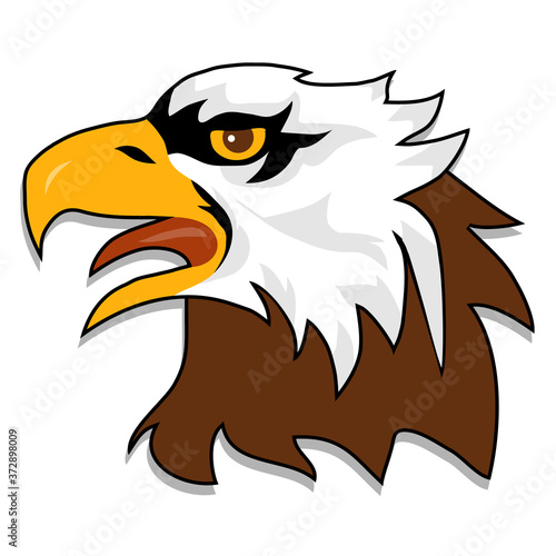 Eagle head. Brown eagle head isolated on white background. Vector illustration.