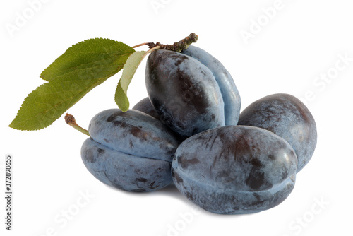 Wallpaper Mural fresh ripe Stanley Plum isolated on white background Torontodigital.ca