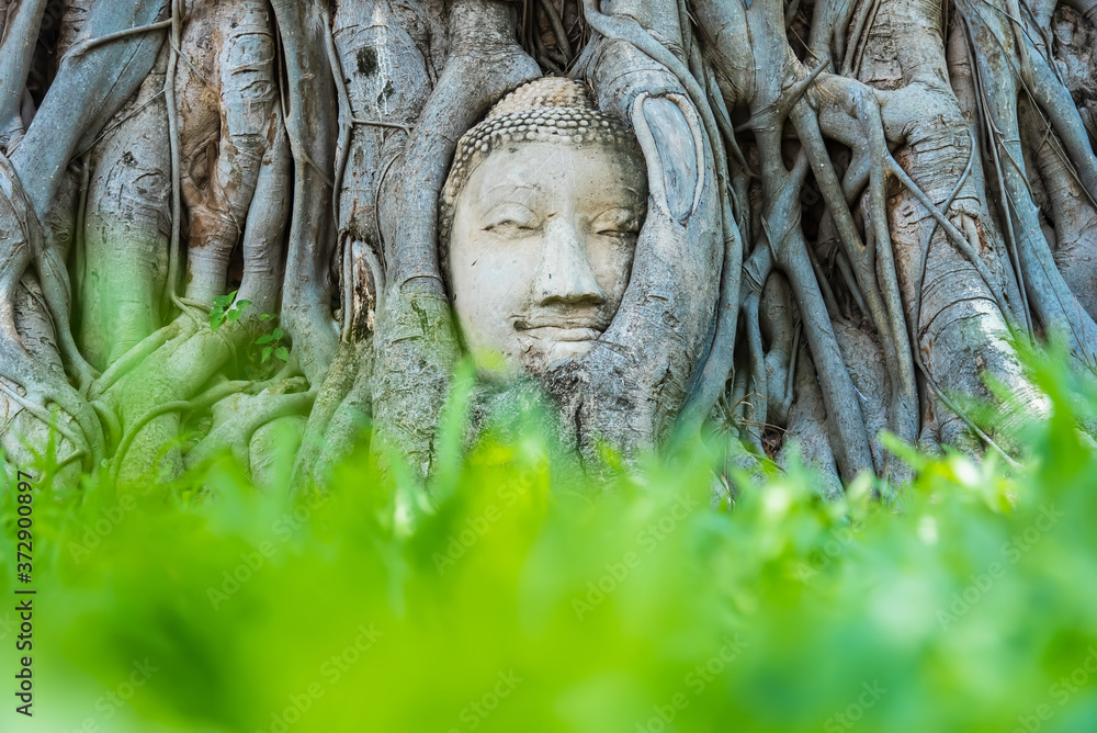 Ayutthaya, Thailand - June, 22, 2020 : Buddha Head in Tree Roots in Wat Mahathat, Ayutthaya, Thailand.Phra Nakhon Sri Ayutthaya is the Unesco world heritage. Ayutthaya, Thailand - June, 22, 2020 : Buddha Head in Tree Roots in Wat Mahathat, Ayutthaya, Thailand.Phra Nakhon Sri Ayutthaya is the Unesco world heritage.
