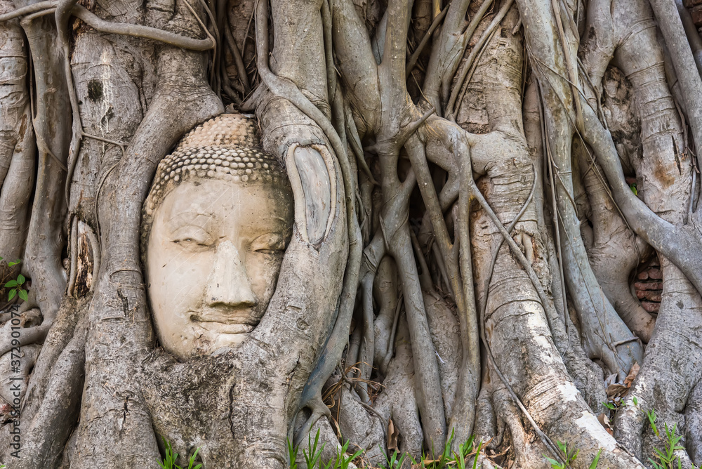 Ayutthaya, Thailand - June, 22, 2020 : Buddha Head in Tree Roots in Wat Mahathat, Ayutthaya, Thailand.Phra Nakhon Sri Ayutthaya is the Unesco world heritage. Ayutthaya, Thailand - June, 22, 2020 : Buddha Head in Tree Roots in Wat Mahathat, Ayutthaya, Thailand.Phra Nakhon Sri Ayutthaya is the Unesco world heritage.