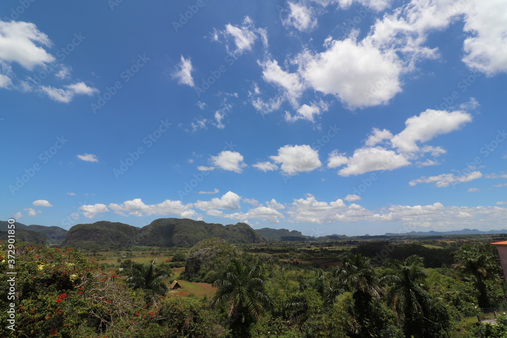 Naklejka premium キューバの世界遺産、ビニャーレス渓谷