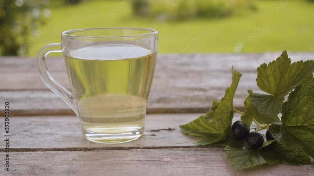 Close-up a transparent cup of blackberry leaf tisane on the old wooden table outside. Fresh raw blackberry on the table. Herbal medicine concept. Dolly shot Close-up a transparent cup of blackberry leaf tisane on the old wooden table outside. Fresh raw blackberry on the table. Herbal medicine concept. Dolly shot