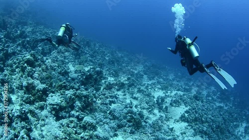 Wallpaper Mural scuba divers underwater in the ocean on a coral reef Torontodigital.ca