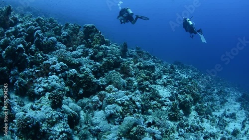 Wallpaper Mural underwater coral reef with scuba divers Torontodigital.ca