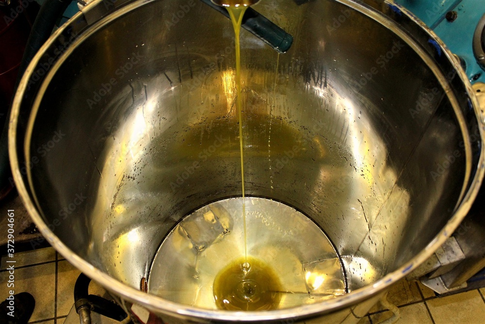 Greece, Attica, extra virgin olive oil extraction process in olive oil mill.