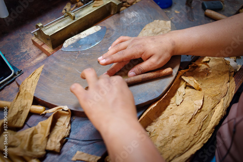 Closeup of hands making cigar from tobacco leaves. Traditional manufacture of cigars. Dominican Republic