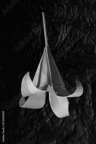 LILI Origami
