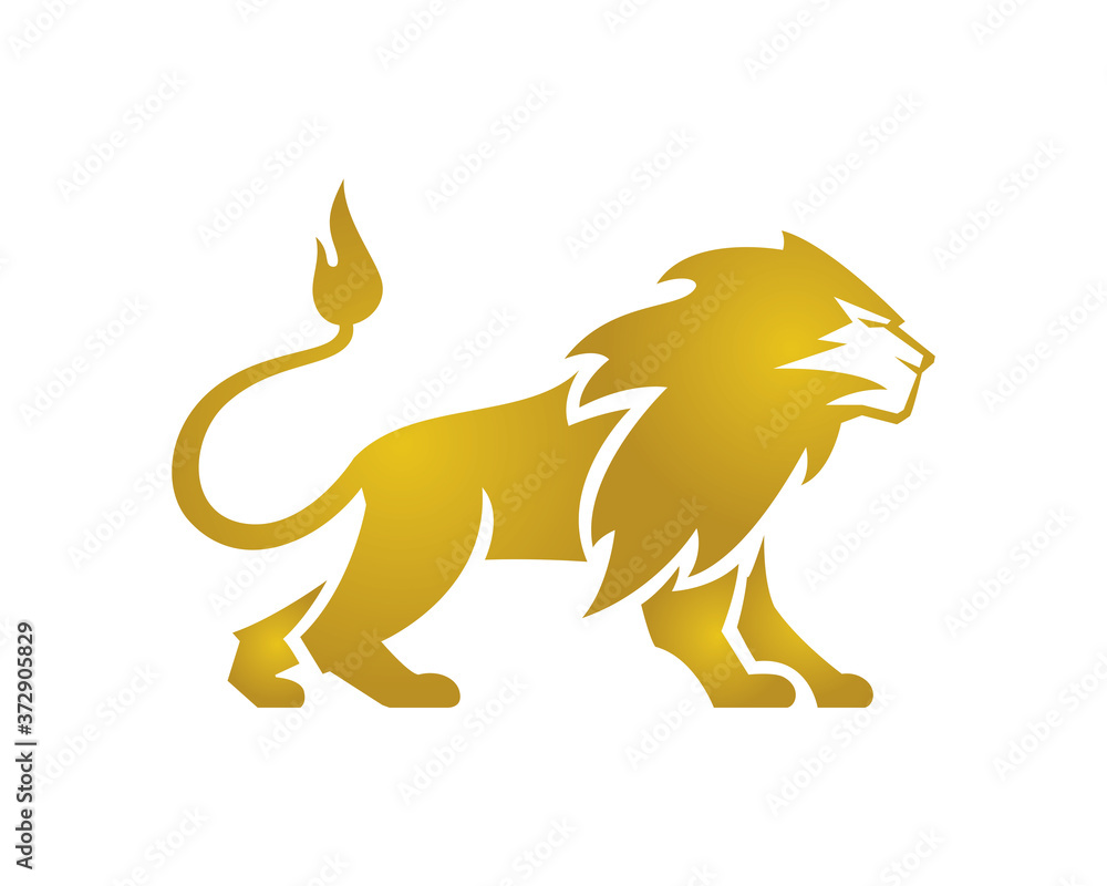 Fototapeta Great Golden Lion Standing Lion Standing Vector
