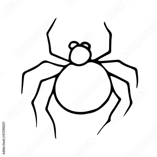 Spider.Vector illustration of an insect. A Doodle style sketch . Isolated object on a white background.Ink drawing of wildlife. For children's colorings.