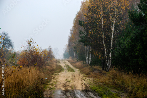 road in the fog
