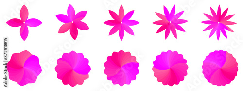 Set of Pink flower plant, speech bubble, icon, background texture, Pattern seamless, sticker promotion, badge promo,  price tags vector illustration graphic design 