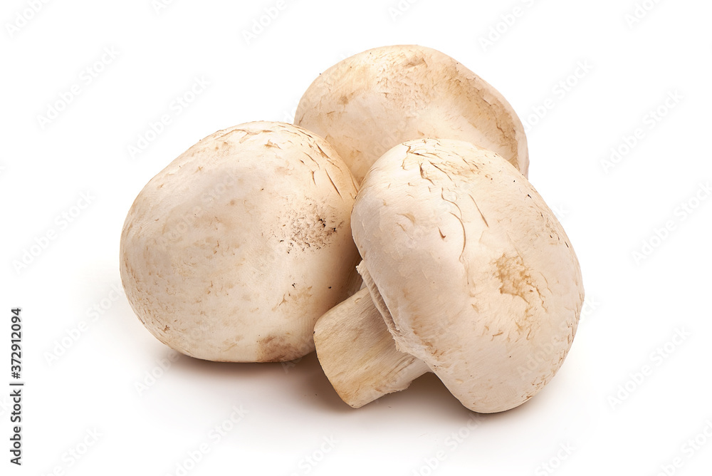 Champignon mushrooms, isolated on white background Champignon mushrooms, isolated on white background