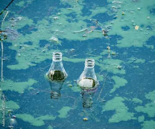 Two glass bottles floating on the surface of water.