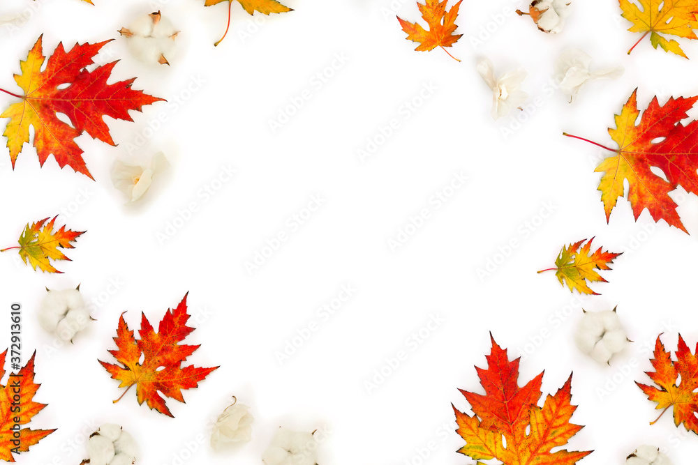 Autumnal frame of maple leaves, cotton flowers, dry white flowers orchid on white background with space for text. Top view, flat lay Autumnal frame of maple leaves, cotton flowers, dry white flowers orchid on white background with space for text. Top view, flat lay