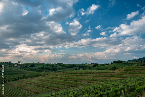 Fototapeta Naklejka Na Ścianę i Meble -  Spring stormy sunset in the vineyards of Collio Friulano, Friuli-Venezia Giulia, Italy