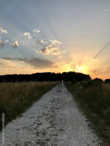 sunset on the road